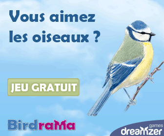 Birdrama : jeu gratuit sur Internet, s\'occuper d\'un oiseau