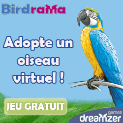Birdrama : jeu gratuit sur Internet, s\'occuper d\'un oiseau