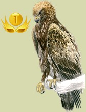 Classement des expositions ornithologiques